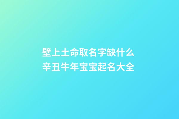 壁上土命取名字缺什么 辛丑牛年宝宝起名大全